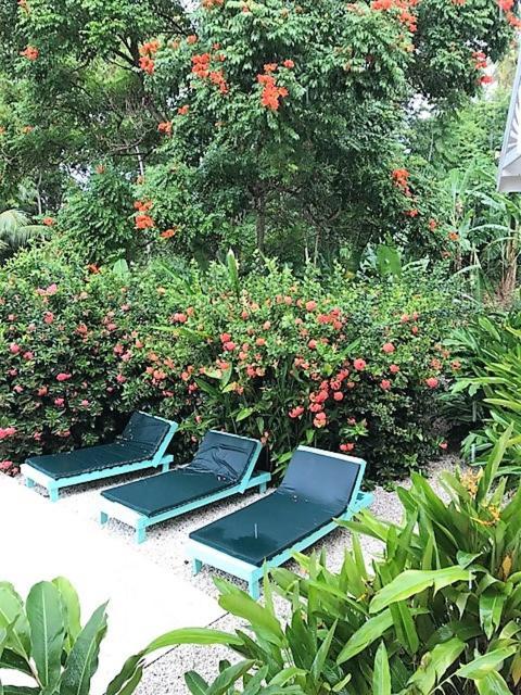 Tobago Hibiscus Golf Villas & Appartments Mount Irvine Exterior photo